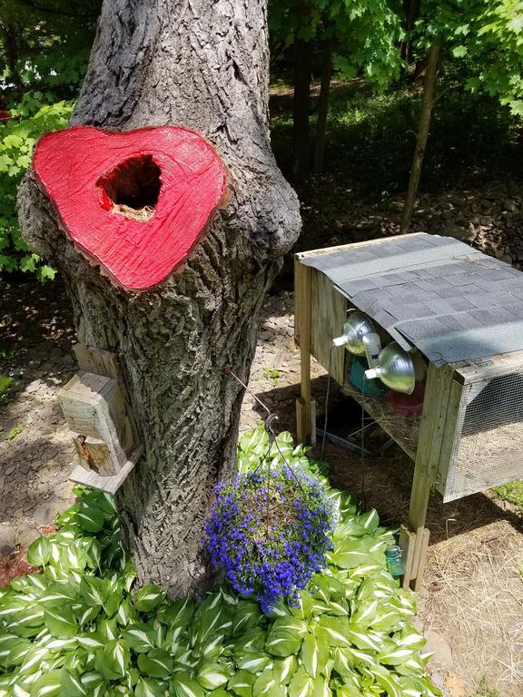 Kountry Living Bed And Breakfast Oneonta Εξωτερικό φωτογραφία