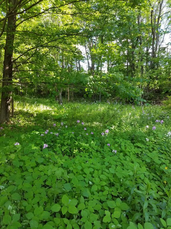 Kountry Living Bed And Breakfast Oneonta Εξωτερικό φωτογραφία