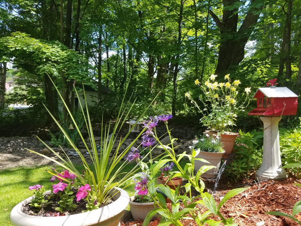 Kountry Living Bed And Breakfast Oneonta Εξωτερικό φωτογραφία